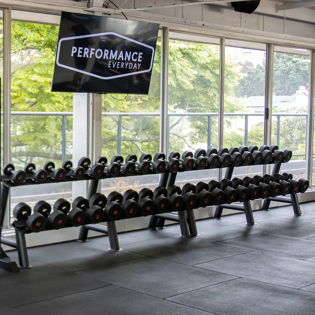 Commercial Dumbbell Set with Rack 5-60kg Smai