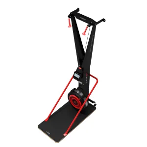 Harison Commercial SkiErg including Stand