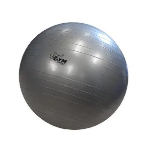 Muscle Motion 65cm Gym Ball / Fit Ball / Swiss Ball
