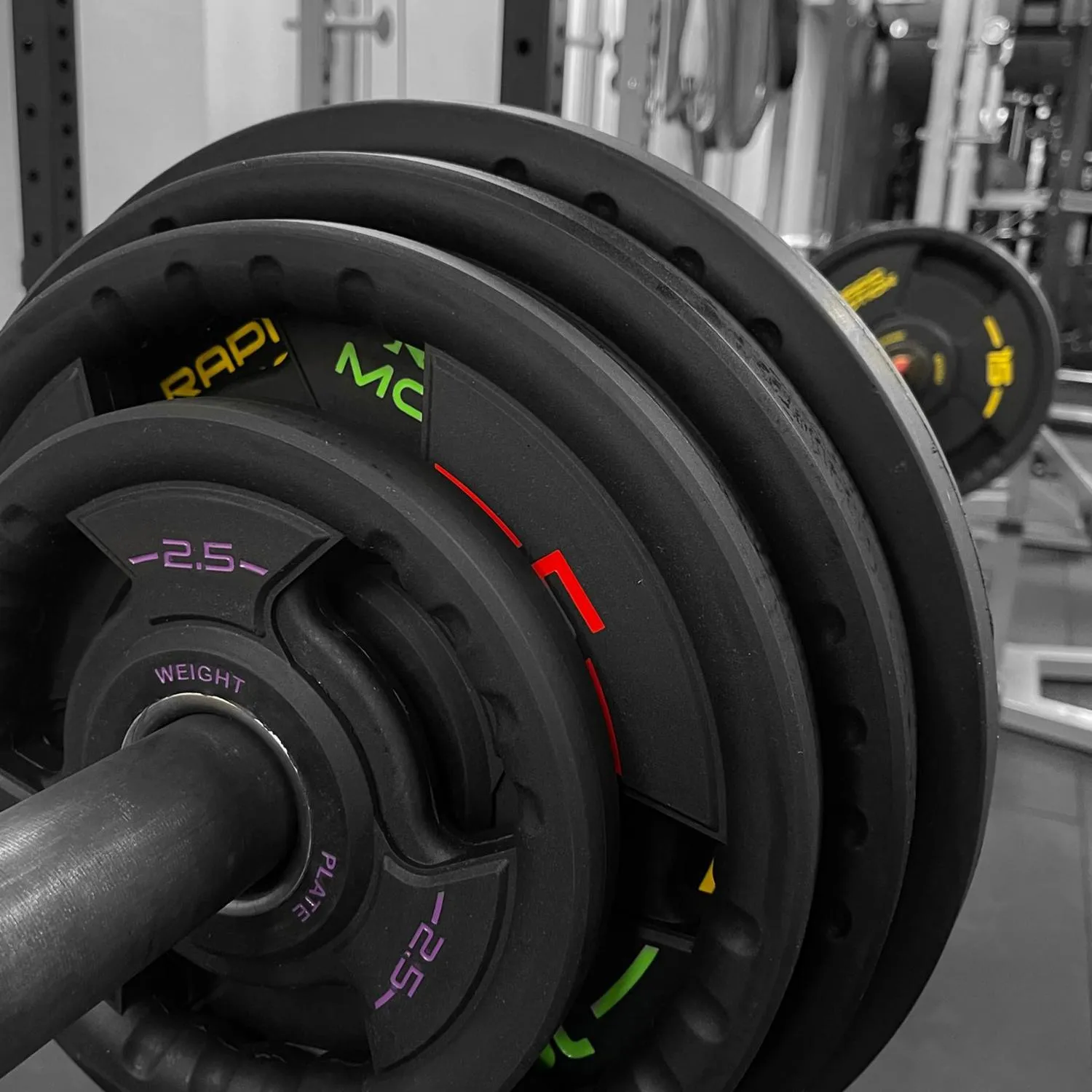 Rapid Motion Urethane Tri-Grip Olympic Weight Plates